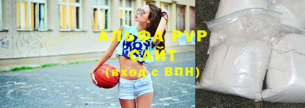 бошки Пересвет