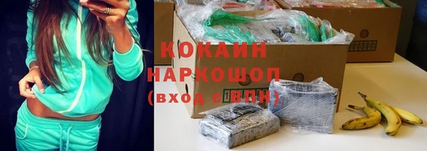бошки Пересвет