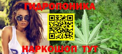PSILOCYBIN Балахна