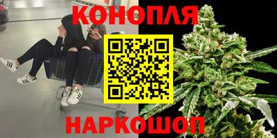 PSILOCYBIN Балахна