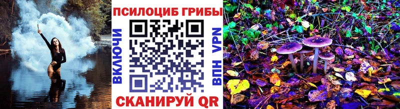Псилоцибиновые грибы Psilocybe  Богородск 