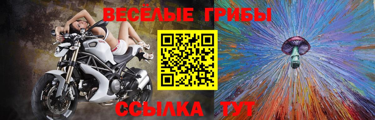 Галлюциногенные грибы Magic Shrooms  хочу наркоту  Галлюциногенные грибы Cubensis  Богородск 