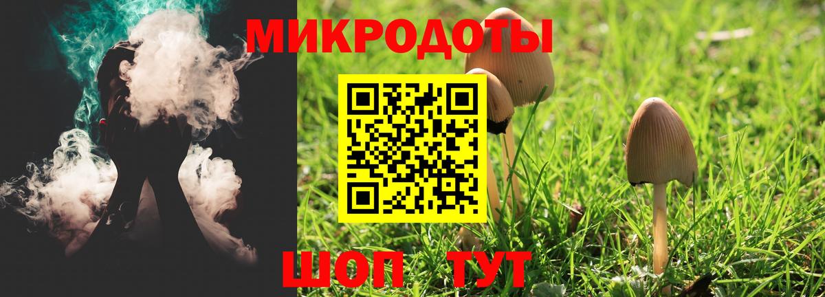 Богородск  Псилоцибиновые грибы Cubensis  Вход с VPN 