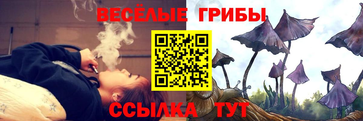 Галлюциногенные грибы GOLDEN TEACHER Богородск